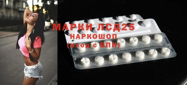 PSILOCYBIN Козельск