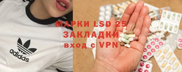 PSILOCYBIN Козельск