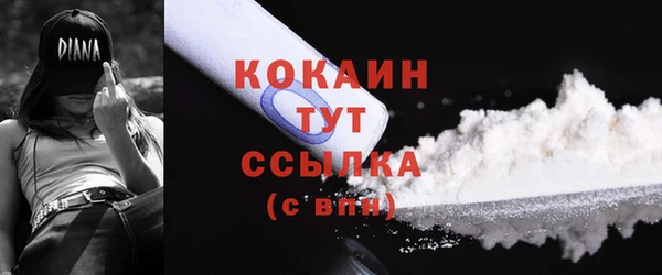 PSILOCYBIN Козельск