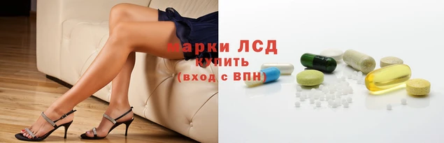 PSILOCYBIN Козельск