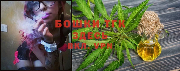 PSILOCYBIN Козельск