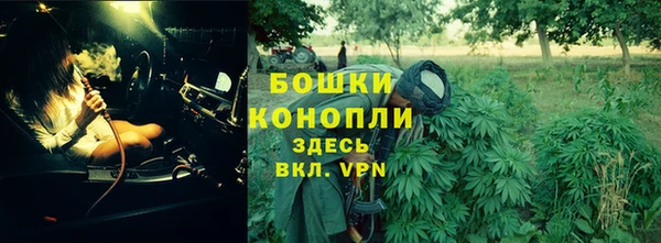 PSILOCYBIN Козельск