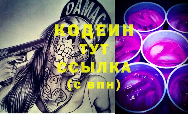 прущие грибы Кстово