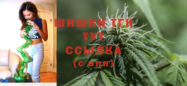 PSILOCYBIN Козельск