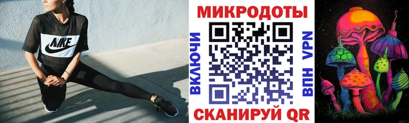 Псилоцибиновые грибы Psilocybine cubensis Каспийск