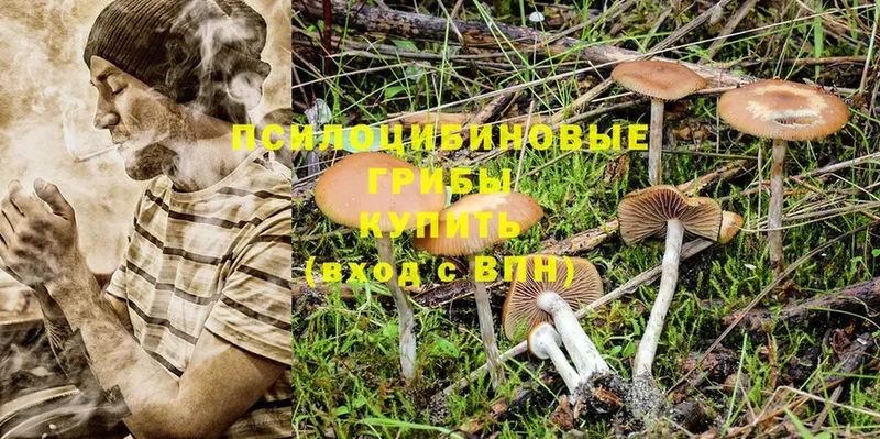 Псилоцибиновые грибы MAGIC MUSHROOMS  Каспийск 