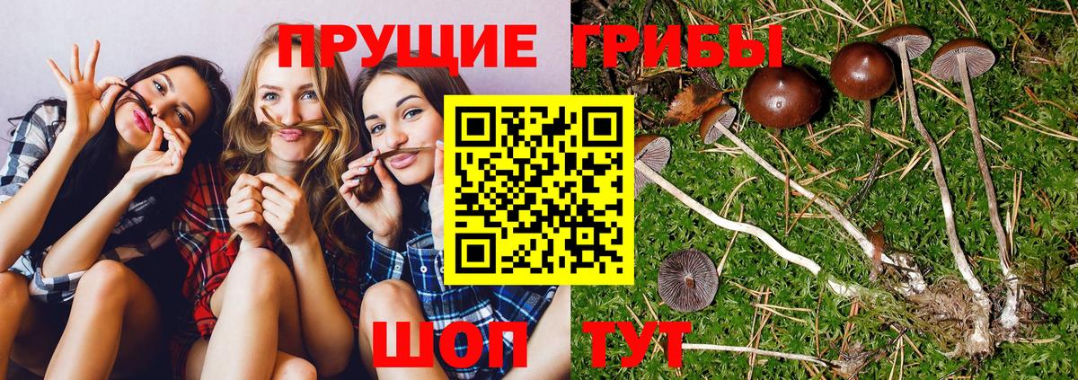 Каспийск  Галлюциногенные грибы Magic Shrooms  Вход с VPN 