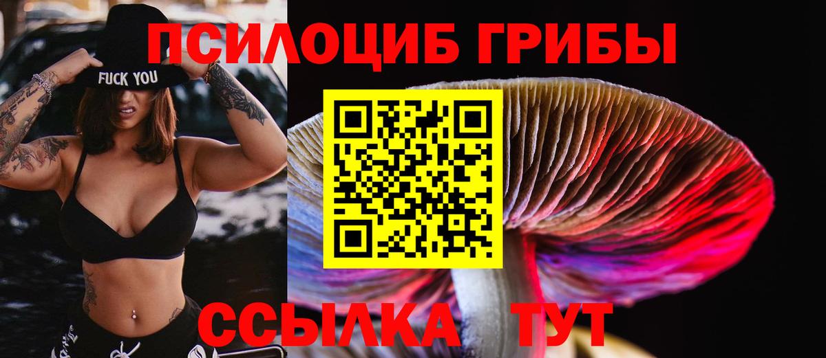 Псилоцибиновые грибы GOLDEN TEACHER  Каспийск  Псилоцибиновые грибы Psilocybine cubensis 