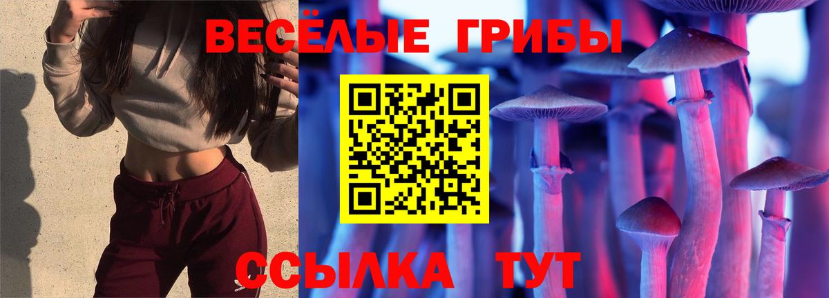 Галлюциногенные грибы GOLDEN TEACHER Каспийск